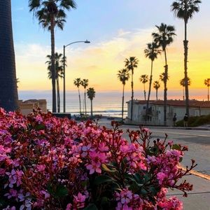 Meet your Posher, Clara